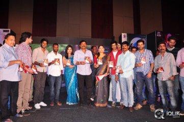 Preminchali Movie Audio Launch